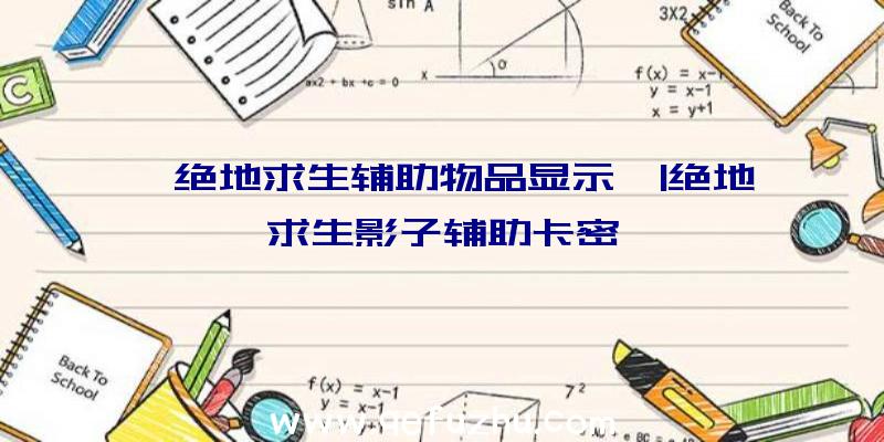 「绝地求生辅助物品显示」|绝地求生影子辅助卡密